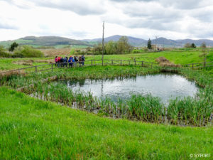 Des citoyens visitent une zone humide créée par la municipalité de Bully pour gérer les eaux de pluie